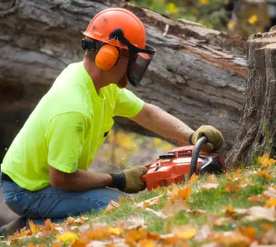 tree services Coshocton